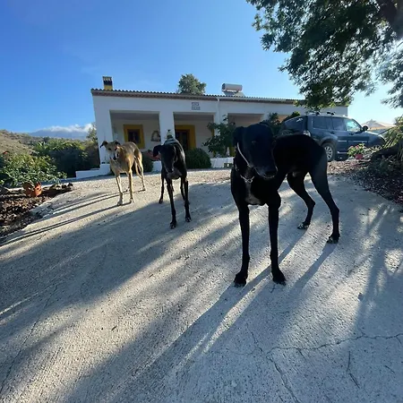 Σπίτι διακοπών Ferienhaus Casa Piedra